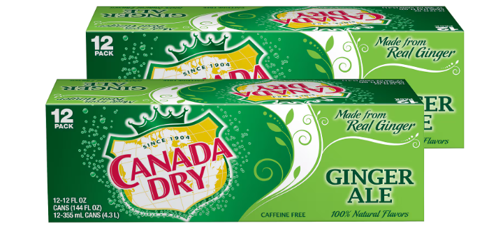 GINGER ALE 12 FL OZ (24 CAN)